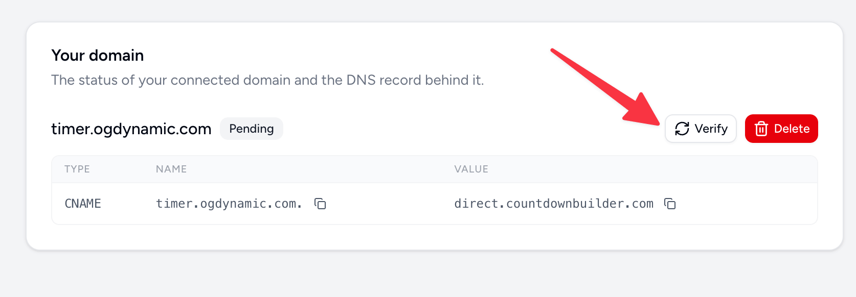 DNS record verify