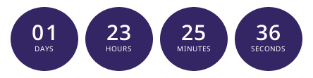 Evergreen Timer